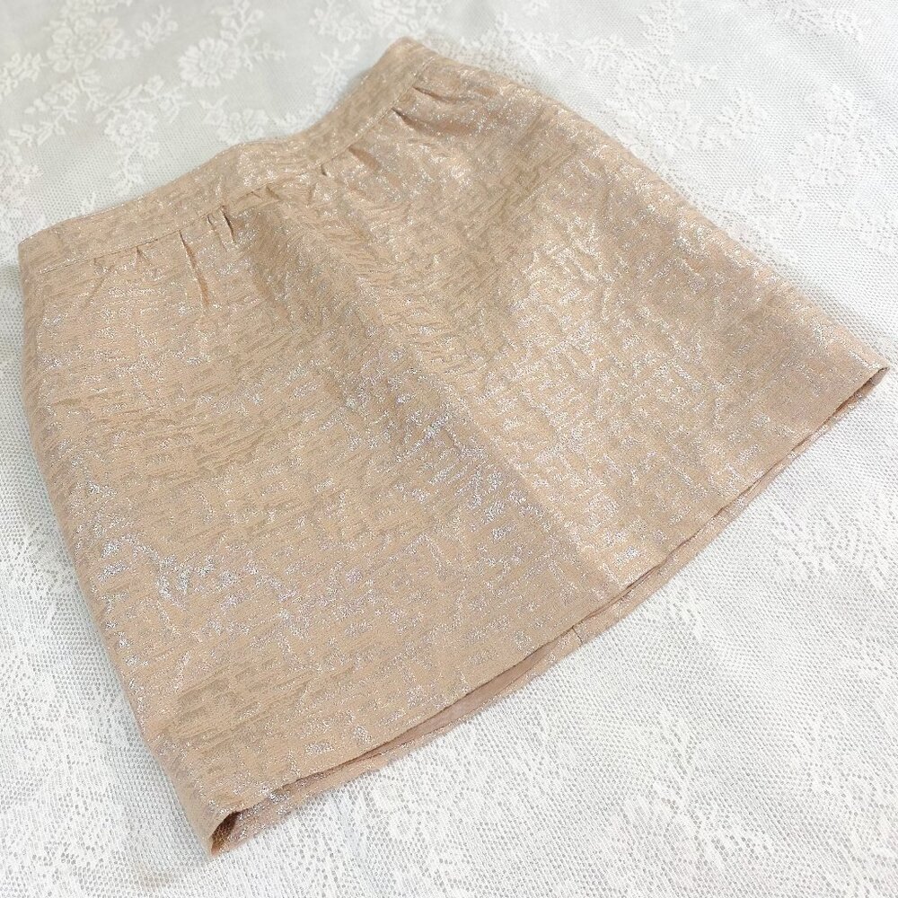 Women's Minimalist Mini Skirt w Pockets Ann Taylor LOFT Textured Petite Clothing